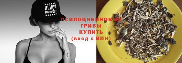 дмт Балахна